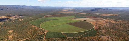 Lakeland Farm - QLD (PBH4 00 14333)